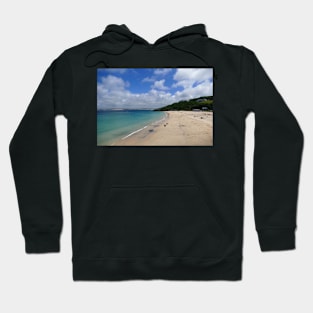 St ives Hoodie